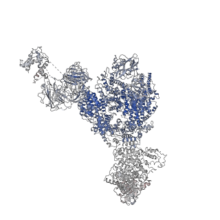 22616_7k0t_C_v1-0
Cryo-EM structure of rabbit RyR1 in the presence of AMP-PCP in nanodisc