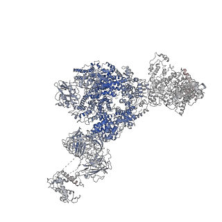 22616_7k0t_C_v2-1
Cryo-EM structure of rabbit RyR1 in the presence of AMP-PCP in nanodisc