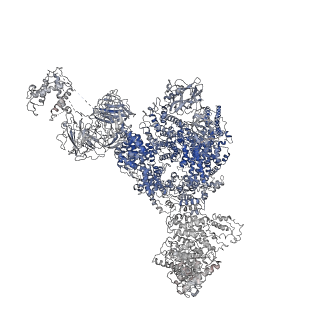 22616_7k0t_D_v2-1
Cryo-EM structure of rabbit RyR1 in the presence of AMP-PCP in nanodisc