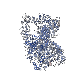 22618_7k0y_A_v1-2
Cryo-EM structure of activated-form DNA-PK (complex VI)