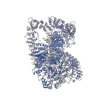 22618_7k0y_A_v1-3
Cryo-EM structure of activated-form DNA-PK (complex VI)