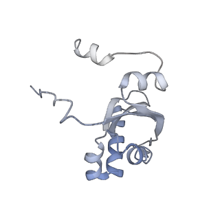 30036_6k0a_B_v1-4
cryo-EM structure of an archaeal Ribonuclease P
