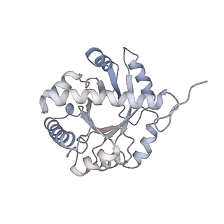 30036_6k0a_C_v1-4
cryo-EM structure of an archaeal Ribonuclease P