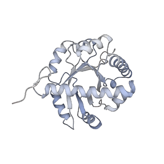 30036_6k0a_D_v1-4
cryo-EM structure of an archaeal Ribonuclease P