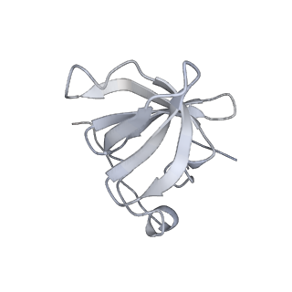 30036_6k0a_E_v1-4
cryo-EM structure of an archaeal Ribonuclease P