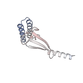 30036_6k0a_G_v1-4
cryo-EM structure of an archaeal Ribonuclease P