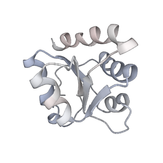 30036_6k0a_I_v1-4
cryo-EM structure of an archaeal Ribonuclease P