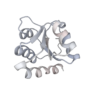 30036_6k0a_J_v1-4
cryo-EM structure of an archaeal Ribonuclease P