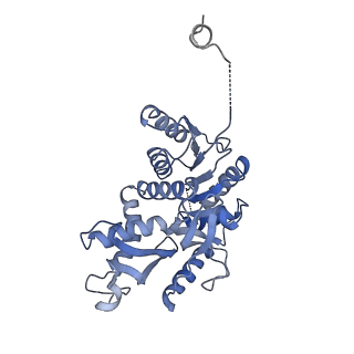 8191_5k0z_A_v1-3
Cryo-EM structure of lactate dehydrogenase (LDH) in inhibitor-bound state