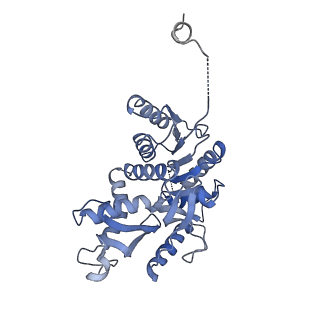 8191_5k0z_A_v1-4
Cryo-EM structure of lactate dehydrogenase (LDH) in inhibitor-bound state