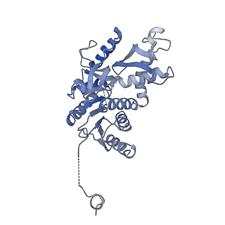 8191_5k0z_B_v1-3
Cryo-EM structure of lactate dehydrogenase (LDH) in inhibitor-bound state