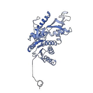 8191_5k0z_B_v1-4
Cryo-EM structure of lactate dehydrogenase (LDH) in inhibitor-bound state