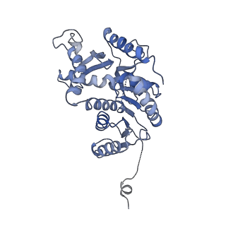 8191_5k0z_C_v1-3
Cryo-EM structure of lactate dehydrogenase (LDH) in inhibitor-bound state