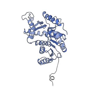 8191_5k0z_C_v1-4
Cryo-EM structure of lactate dehydrogenase (LDH) in inhibitor-bound state