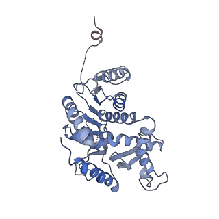 8191_5k0z_D_v1-3
Cryo-EM structure of lactate dehydrogenase (LDH) in inhibitor-bound state