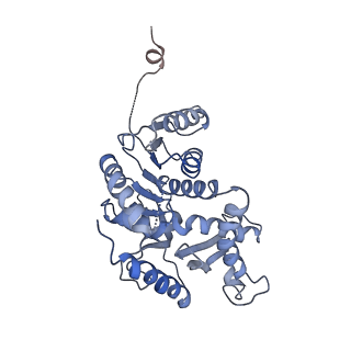 8191_5k0z_D_v1-4
Cryo-EM structure of lactate dehydrogenase (LDH) in inhibitor-bound state