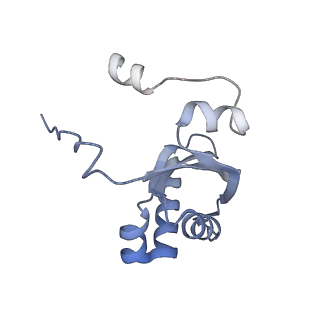 9900_6k0b_B_v1-2
cryo-EM structure of archaeal Ribonuclease P with mature tRNA