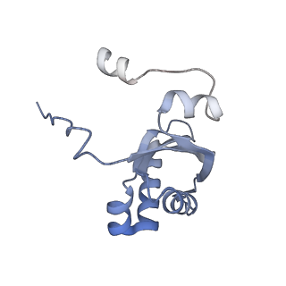 9900_6k0b_B_v1-3
cryo-EM structure of archaeal Ribonuclease P with mature tRNA