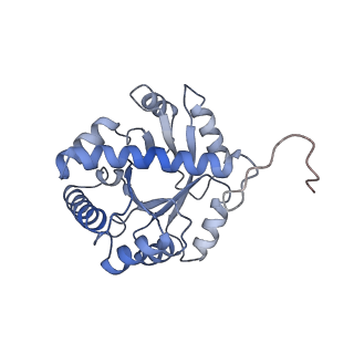 9900_6k0b_C_v1-2
cryo-EM structure of archaeal Ribonuclease P with mature tRNA