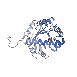 9900_6k0b_D_v1-2
cryo-EM structure of archaeal Ribonuclease P with mature tRNA