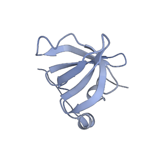 9900_6k0b_E_v1-2
cryo-EM structure of archaeal Ribonuclease P with mature tRNA