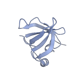 9900_6k0b_E_v1-3
cryo-EM structure of archaeal Ribonuclease P with mature tRNA