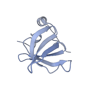 9900_6k0b_F_v1-2
cryo-EM structure of archaeal Ribonuclease P with mature tRNA