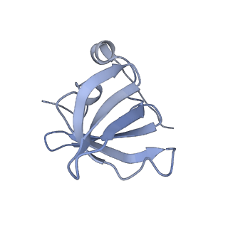 9900_6k0b_F_v1-3
cryo-EM structure of archaeal Ribonuclease P with mature tRNA