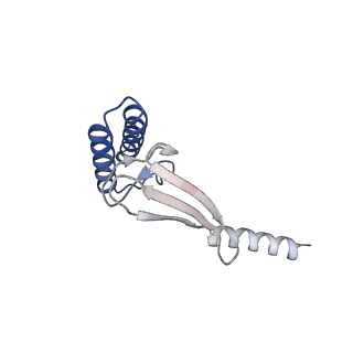 9900_6k0b_G_v1-2
cryo-EM structure of archaeal Ribonuclease P with mature tRNA