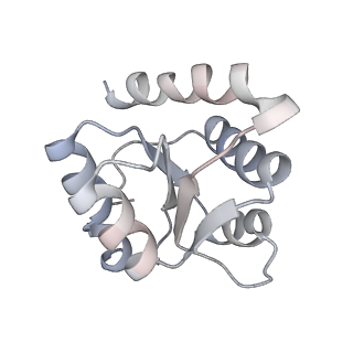 9900_6k0b_I_v1-2
cryo-EM structure of archaeal Ribonuclease P with mature tRNA