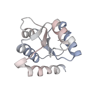 9900_6k0b_J_v1-2
cryo-EM structure of archaeal Ribonuclease P with mature tRNA