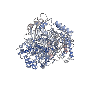 22619_7k10_A_v1-2
CryoEM structure of activated-form FATKIN domain of DNA-PK