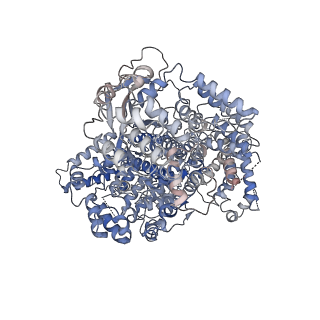 22619_7k10_A_v1-3
CryoEM structure of activated-form FATKIN domain of DNA-PK