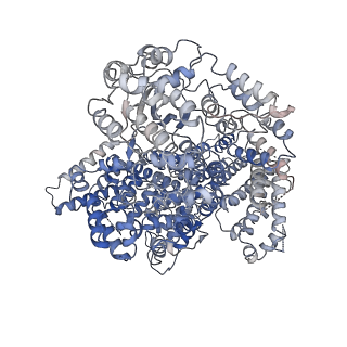 22620_7k11_A_v1-3
CryoEM structure of inactivated-form FATKIN domain of DNA-PK