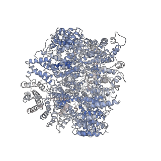 22622_7k19_A_v1-2
CryoEM structure of DNA-PK catalytic subunit complexed with DNA (Complex I)