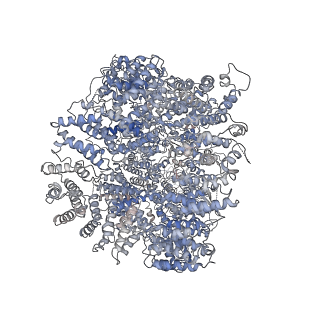 22622_7k19_A_v1-3
CryoEM structure of DNA-PK catalytic subunit complexed with DNA (Complex I)