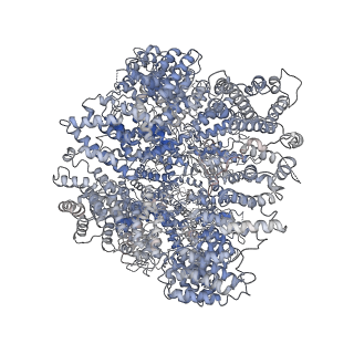 22623_7k1b_A_v1-2
CryoEM structure of DNA-PK catalytic subunit complexed with DNA (Complex II)