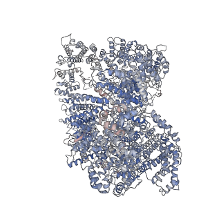 22624_7k1j_A_v1-2
CryoEM structure of inactivated-form DNA-PK (Complex III)