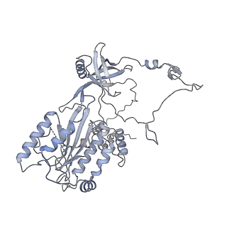 22624_7k1j_B_v1-2
CryoEM structure of inactivated-form DNA-PK (Complex III)