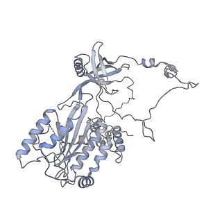 22624_7k1j_B_v1-3
CryoEM structure of inactivated-form DNA-PK (Complex III)