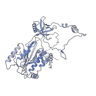 22626_7k1n_B_v1-3
CryoEM structure of inactivated-form DNA-PK (Complex V)