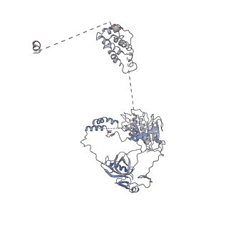 22626_7k1n_C_v1-3
CryoEM structure of inactivated-form DNA-PK (Complex V)