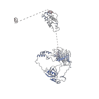 22626_7k1n_C_v1-4
CryoEM structure of inactivated-form DNA-PK (Complex V)