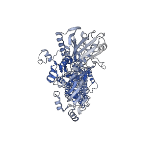 36794_8k1l_A_v1-1
Cryo-EM structure of Na+,K+-ATPase alpha2 from Artemia salina in cation-free E2P form