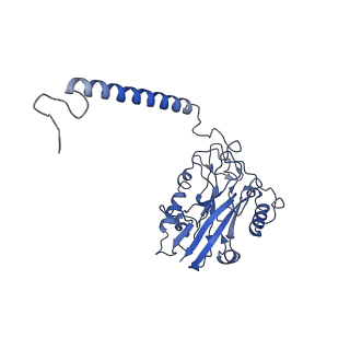 36794_8k1l_B_v1-1
Cryo-EM structure of Na+,K+-ATPase alpha2 from Artemia salina in cation-free E2P form