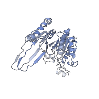 8192_5k10_A_v1-3
Cryo-EM structure of isocitrate dehydrogenase (IDH1)