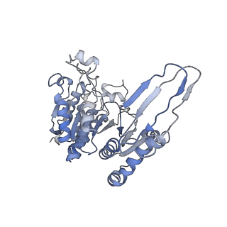 8192_5k10_B_v1-3
Cryo-EM structure of isocitrate dehydrogenase (IDH1)