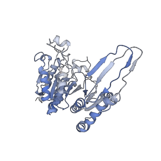 8192_5k10_B_v1-4
Cryo-EM structure of isocitrate dehydrogenase (IDH1)