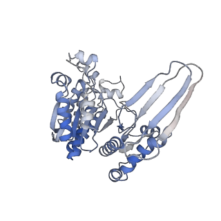 8193_5k11_B_v1-3
Cryo-EM structure of isocitrate dehydrogenase (IDH1) in inhibitor-bound state