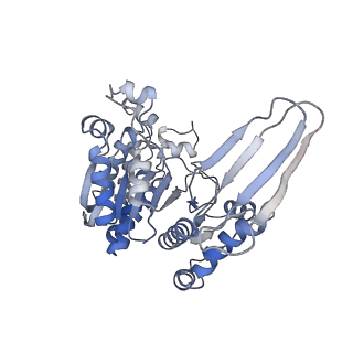 8193_5k11_B_v1-4
Cryo-EM structure of isocitrate dehydrogenase (IDH1) in inhibitor-bound state